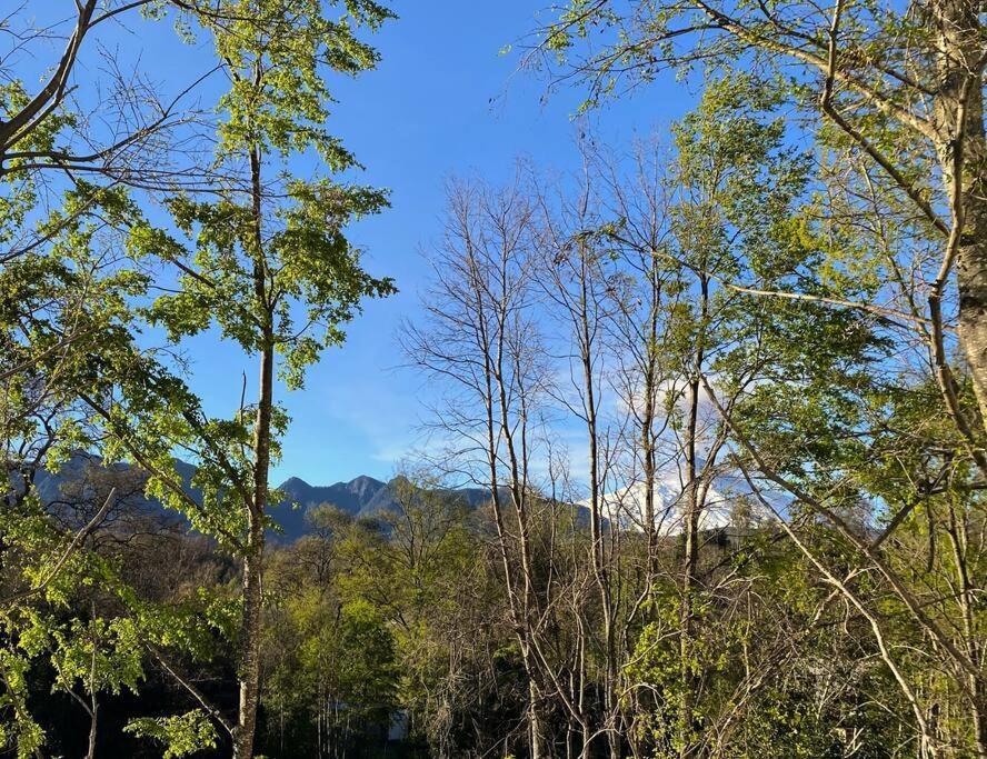 Apartamento Vista Bosque Y Cordillera